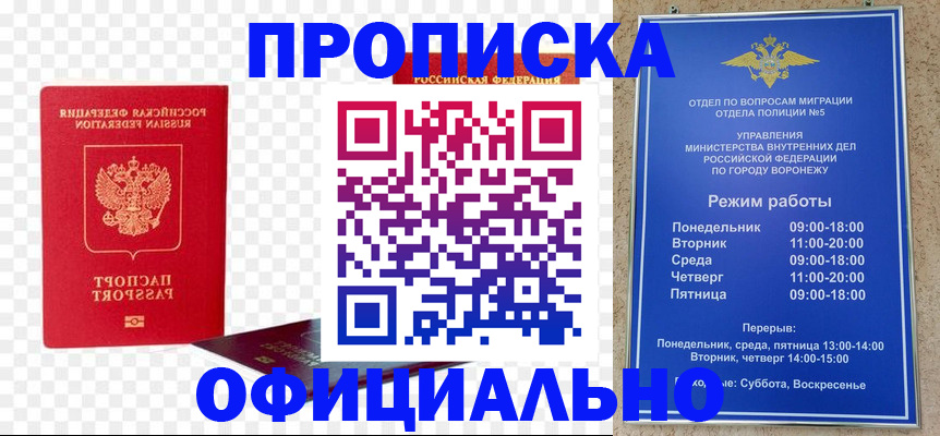 прописка иностранных граждан в Волоколамске